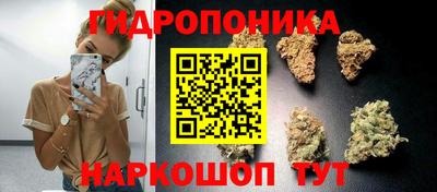 не бодяженный Будённовск