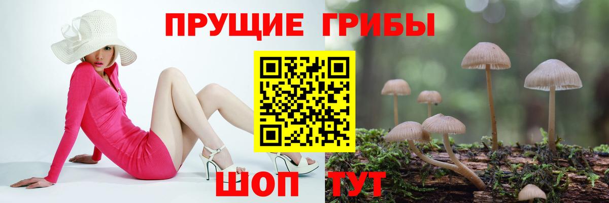 Куйбышев  Псилоцибиновые грибы Psilocybine cubensis  Вход с VPN  Псилоцибиновые грибы Magic Shrooms 